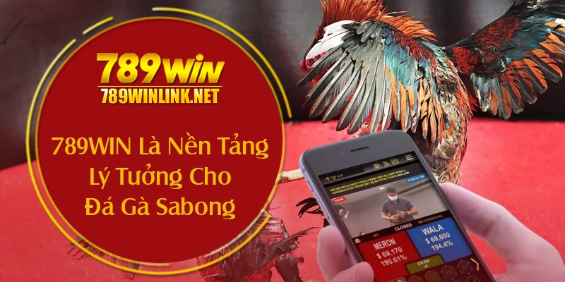 Lý Do 789WIN Là Nền Tảng Lý Tưởng Cho Đá Gà Sabong