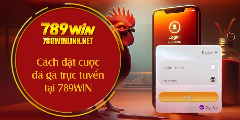 Cách đặt cược đá gà trực tuyến tại 789WIN