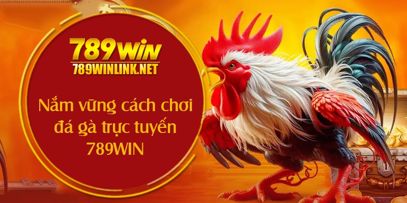 Nắm vững cách chơi đá gà trực tuyến 789WIN